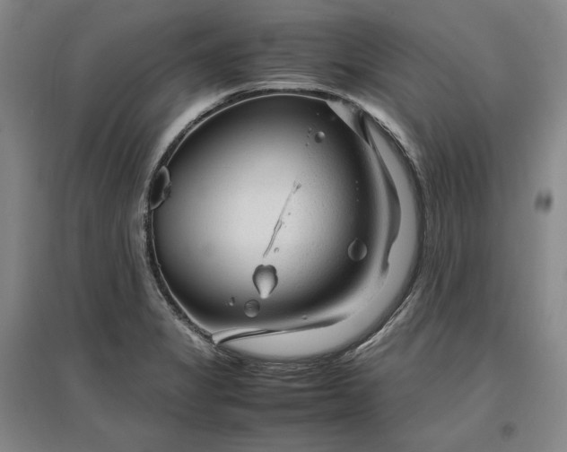 X0000096941325200802221311