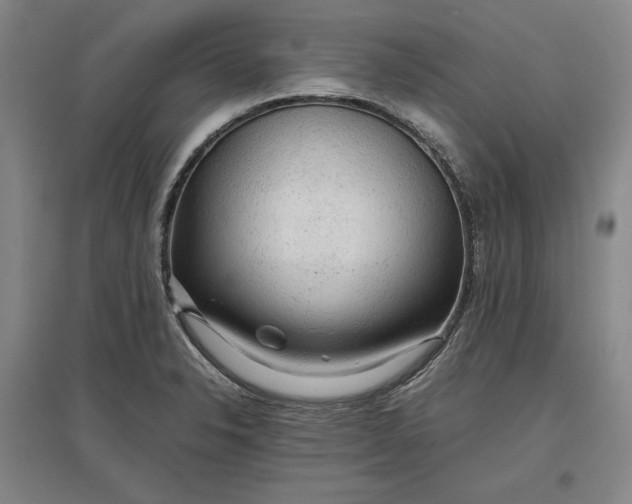 X0000096941326200802221311