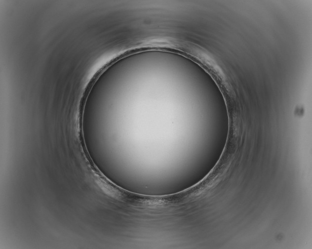 X0000096941328200802221311