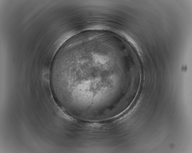 X0000096941329200802221311