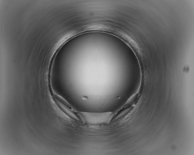 X0000096941330200802221311