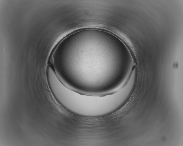 X0000096941332200802221311