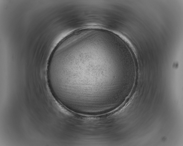 X0000096941333200802221311