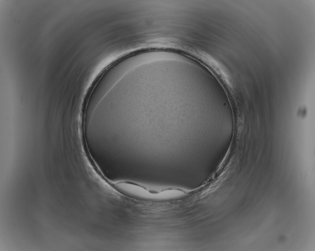 X0000096941334200802221311