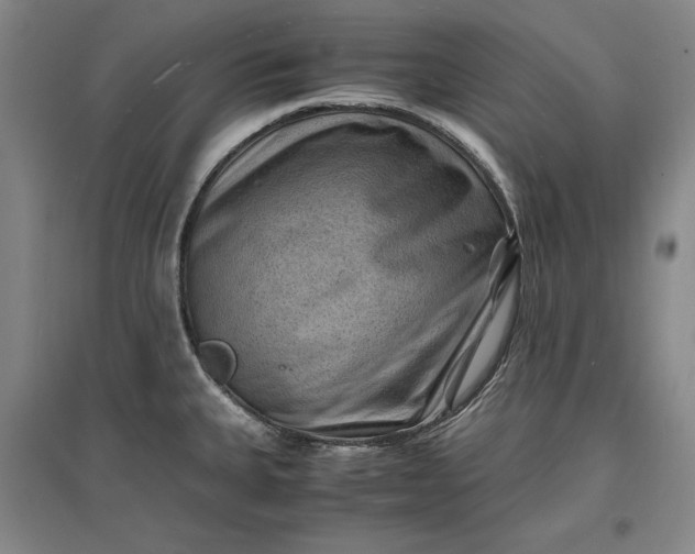 X0000096941335200802221311