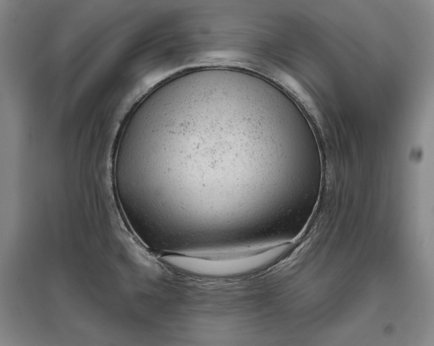 X0000096941336200802221311