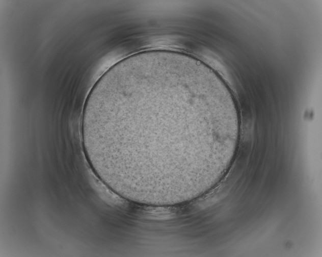 X0000096941338200802221311