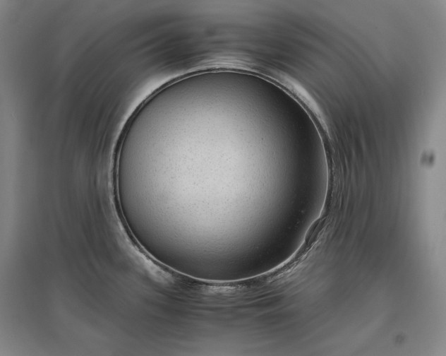 X0000096941339200802221311