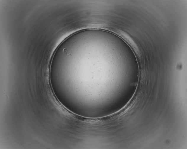 X0000096941340200802221311