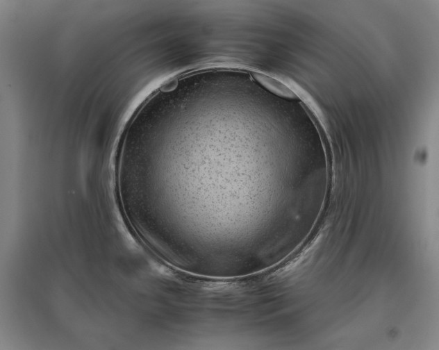 X0000096941341200802221311