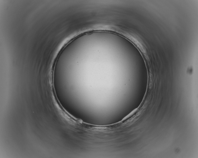 X0000096941342200802221311