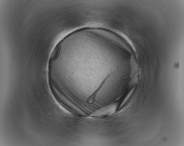 X0000096941343200802221311