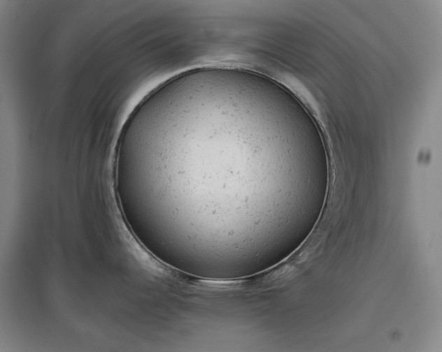 X0000096941344200802221311