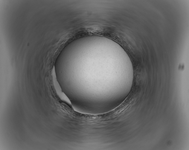 X0000096941345200802221311