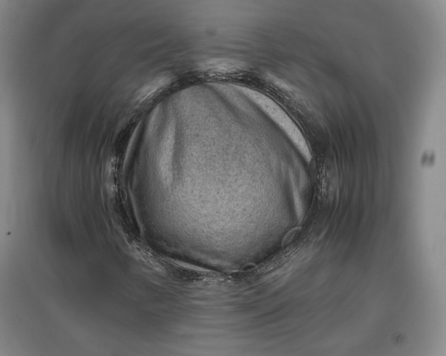 X0000096941346200802221311