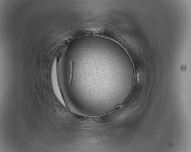 X0000096941347200802221311