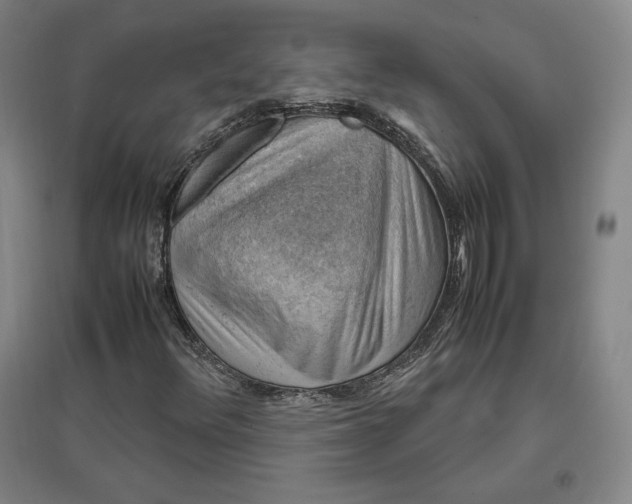 X0000096941348200802221311