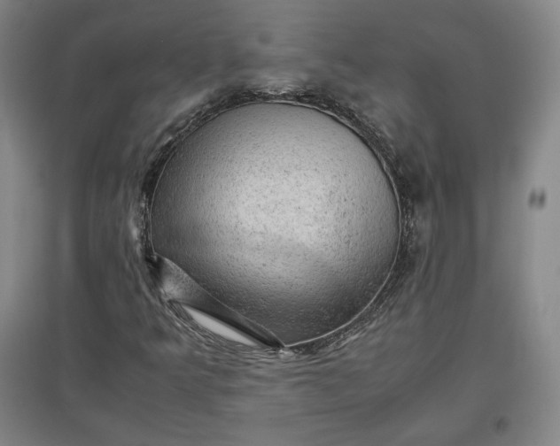 X0000096941349200802221311