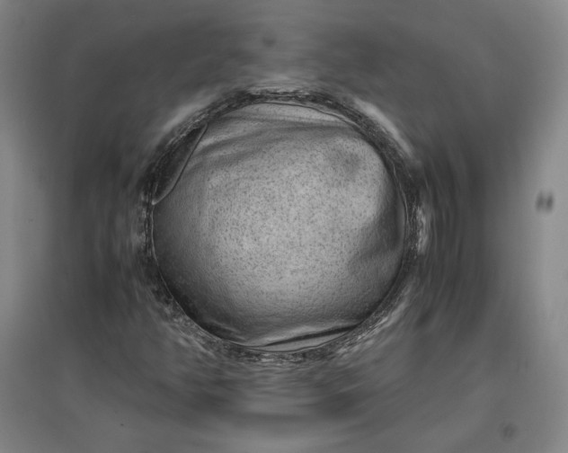 X0000096941350200802221311