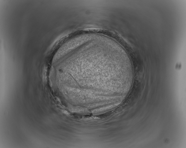 X0000096941351200802221311