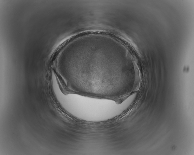 X0000096941352200802221311