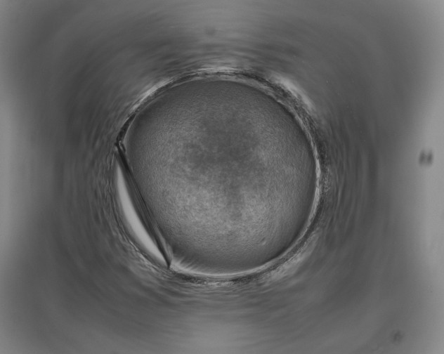 X0000096941353200802221311