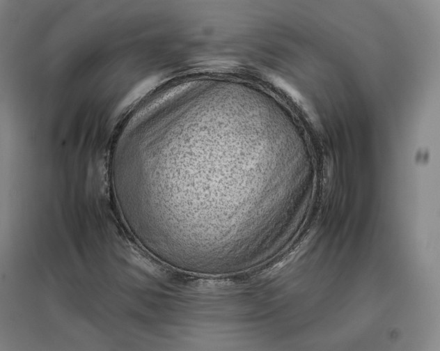 X0000096941354200802221311