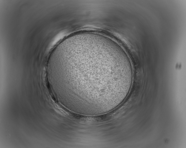 X0000096941355200802221311