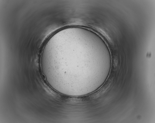 X0000096941356200802221311