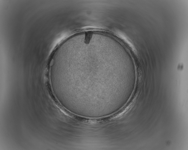 X0000096941357200802221311