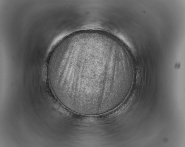 X0000096941358200802221311