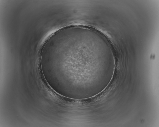 X0000096941359200802221311