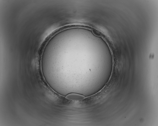 X0000096941360200802221310