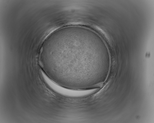 X0000096941361200802221310