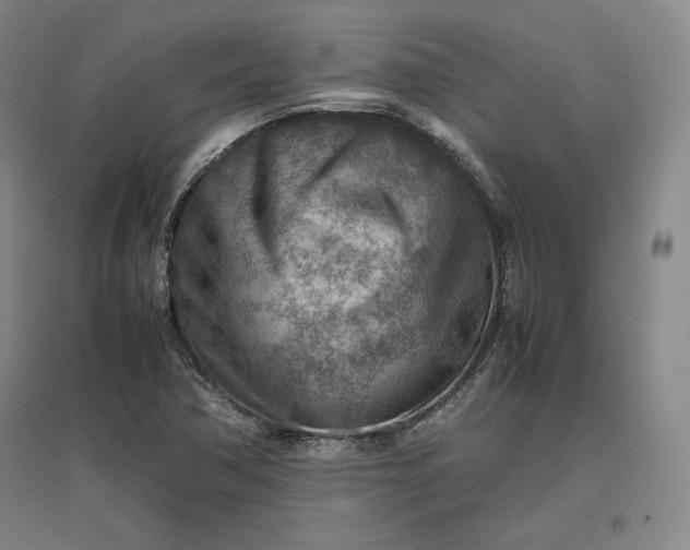 X0000096941362200802221310