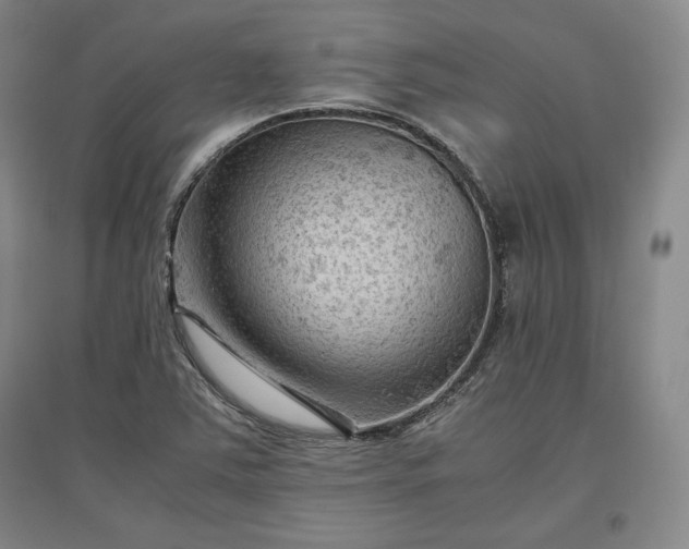 X0000096941363200802221310