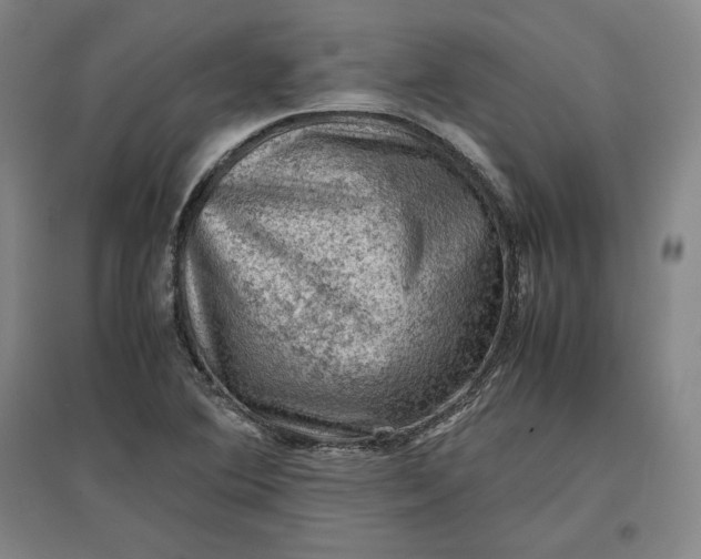 X0000096941364200802221310