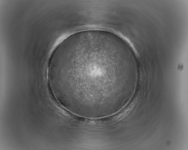 X0000096941365200802221310