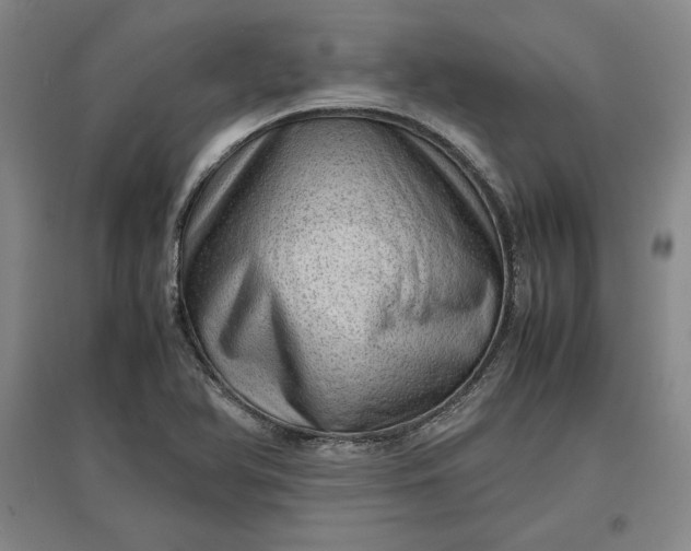 X0000096941366200802221310