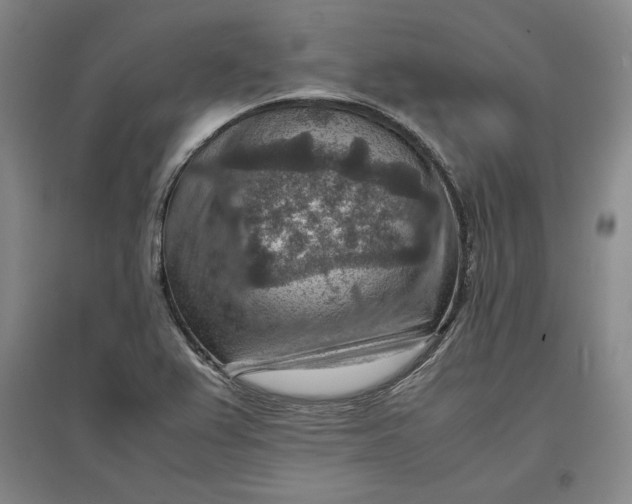 X0000096941367200802221310