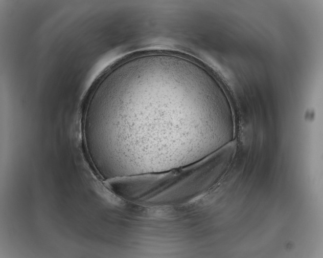 X0000096941368200802221310