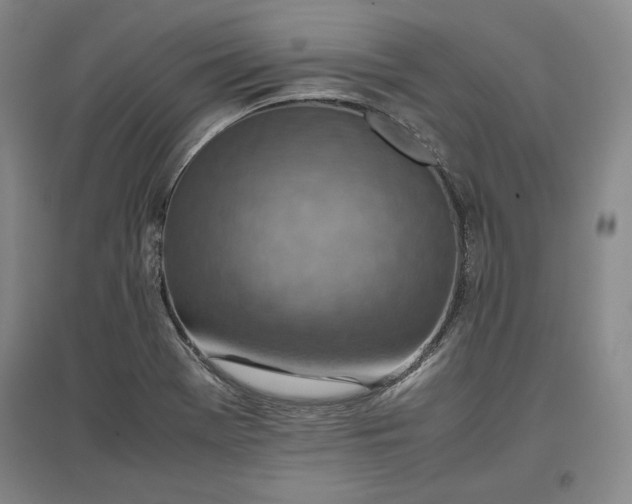 X0000096941369200802221310