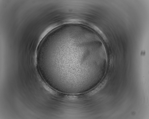 X0000096941370200802221310