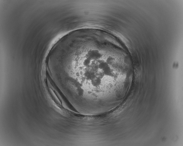 X0000096941371200802221310