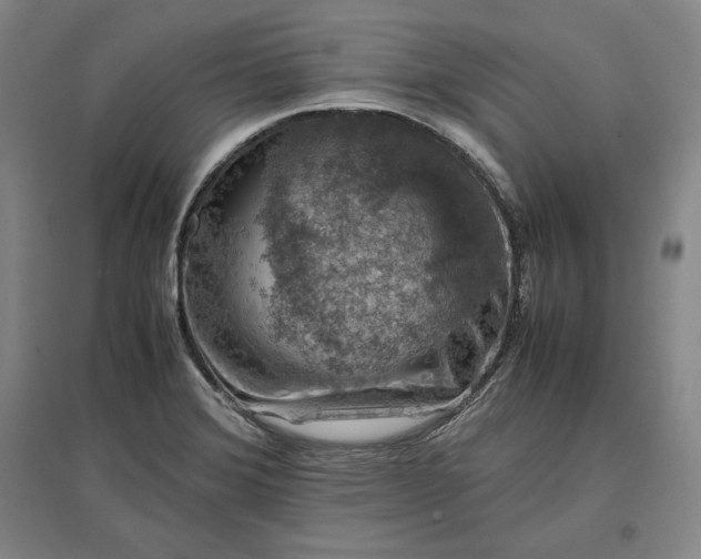 X0000096941372200802221310