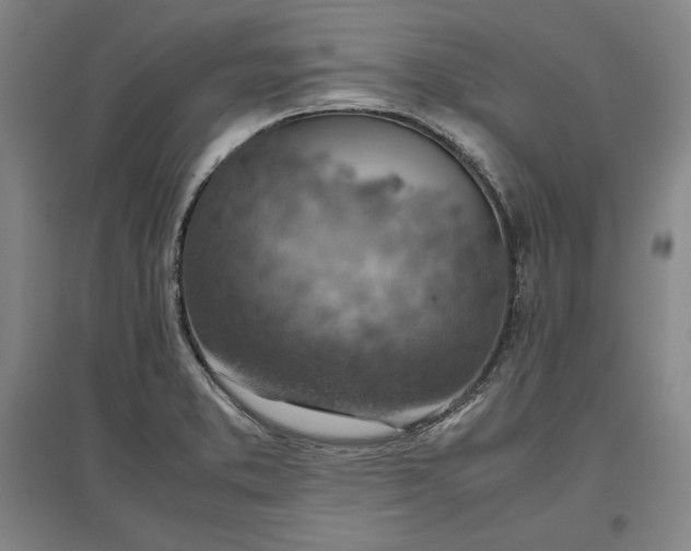 X0000096941373200802221310