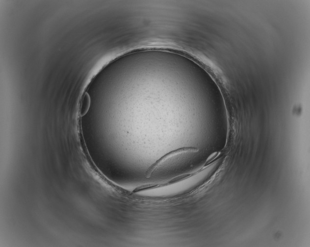 X0000096941374200802221310