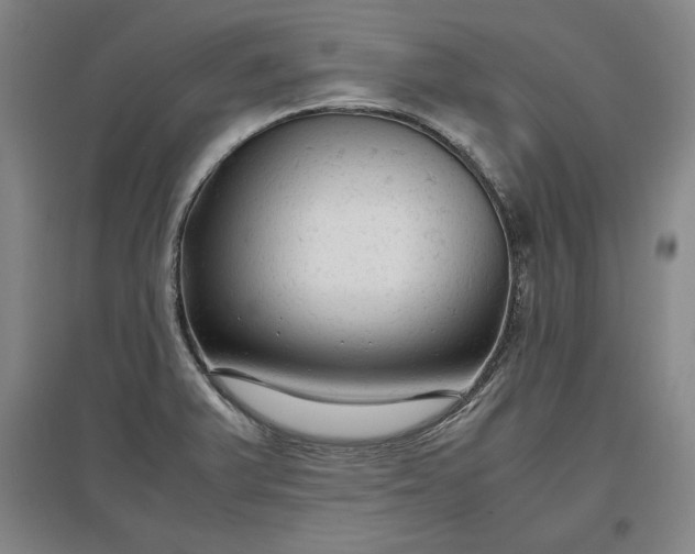 X0000096941375200802221310