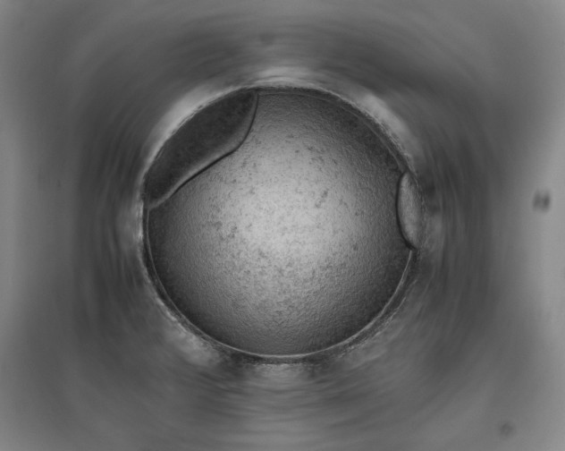 X0000096941376200802221310