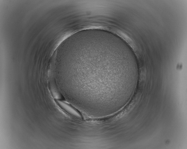 X0000096941377200802221310